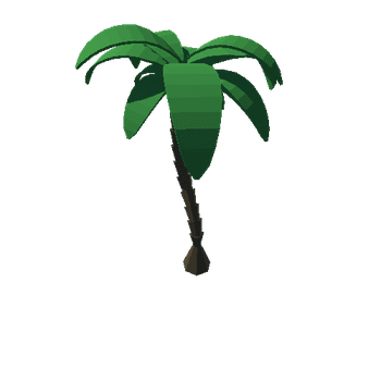 Palm Tree 5